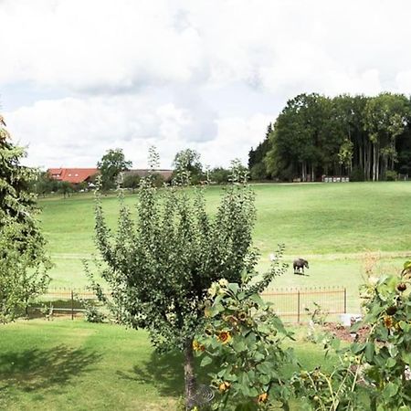 Naturidyl Schneckenbuch Weißensberg Exteriör bild